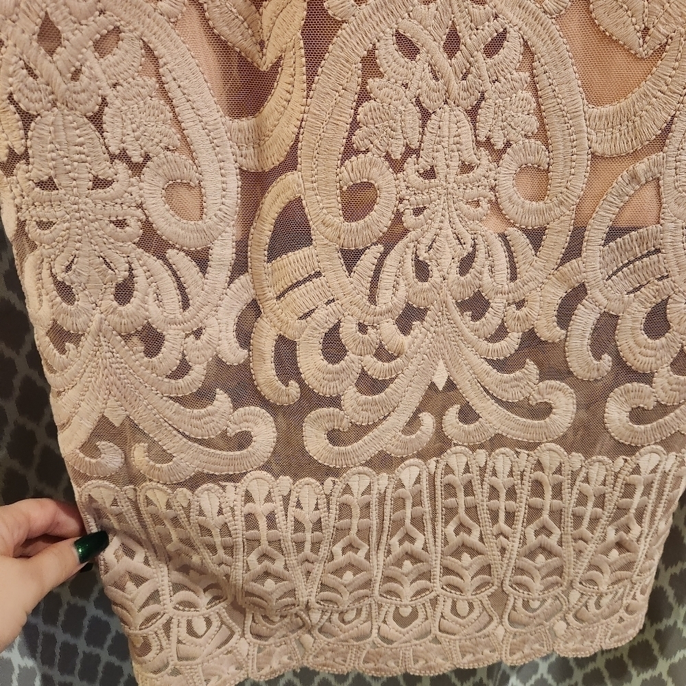 Bardot S 6 Gia Lace Pencil Midi Dress Spaghetti Strap Latte Pink Embroidered - Picture 6 of 12